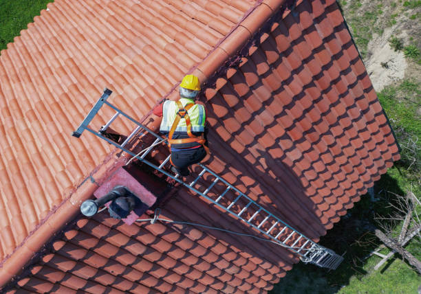 Best Roof Maintenance and Cleaning  in Minersville, PA